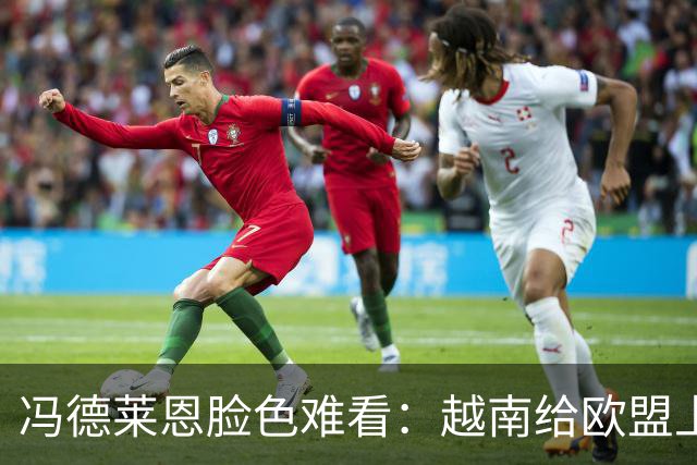冯德莱恩脸色难看：越南给欧盟上了一课：什么叫 “中国力量”